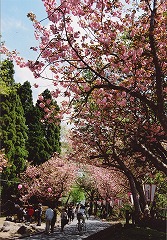 c0208355_14391159.jpg
