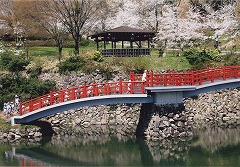 c0208355_1517483.jpg