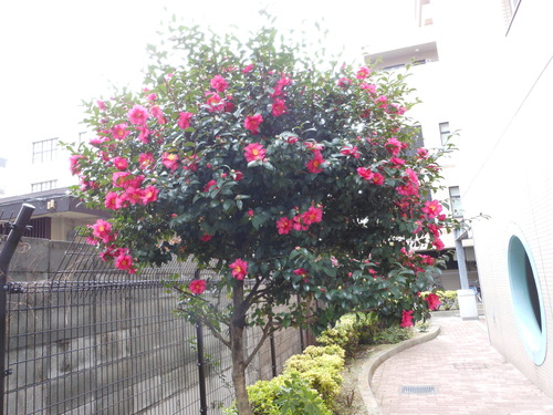 a0085663_2246144.jpg