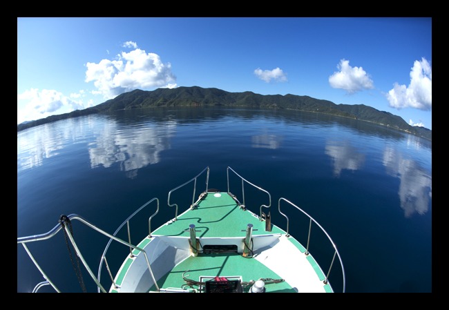 b0062363_16294476.jpg