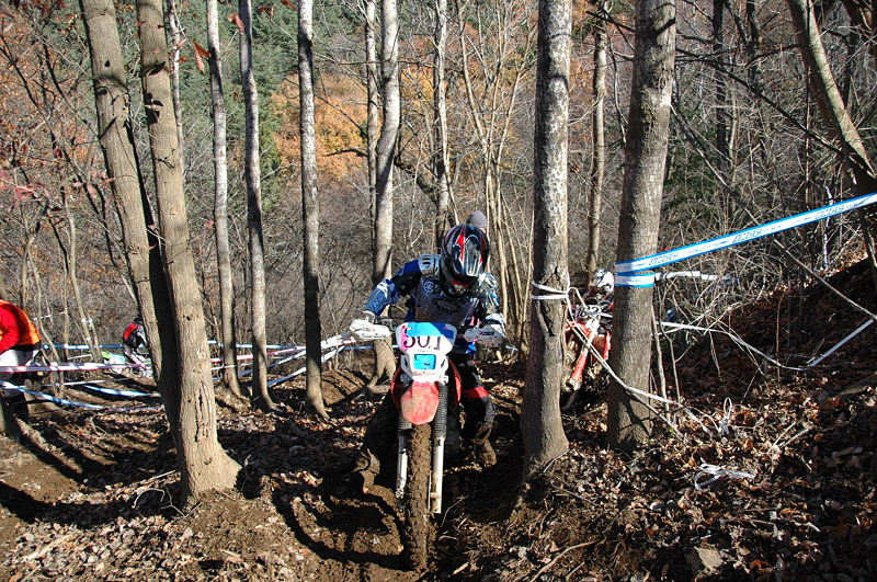 c0198263_2218510.jpg