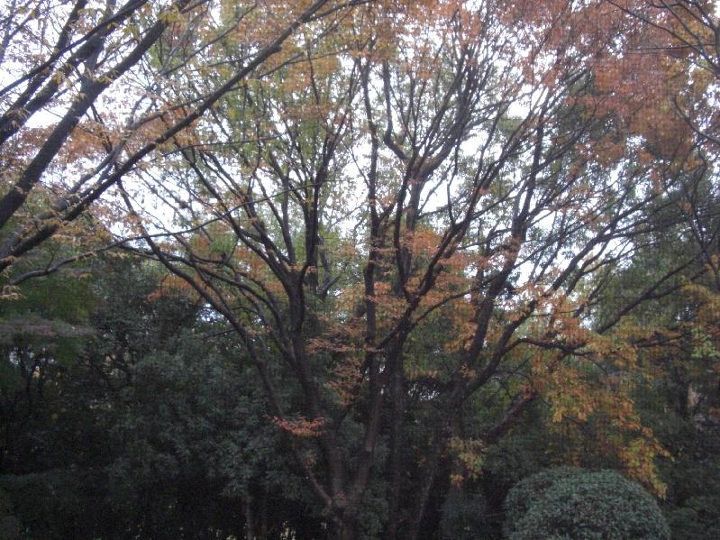 c0195369_2211016.jpg