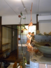 c0192970_22301998.jpg