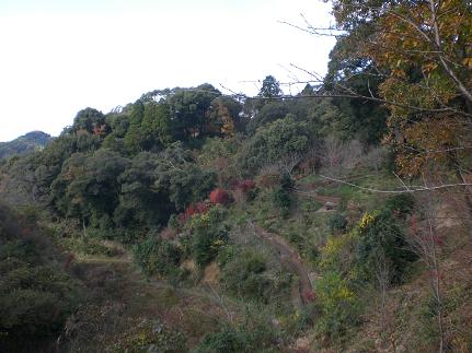 c0222471_5414744.jpg