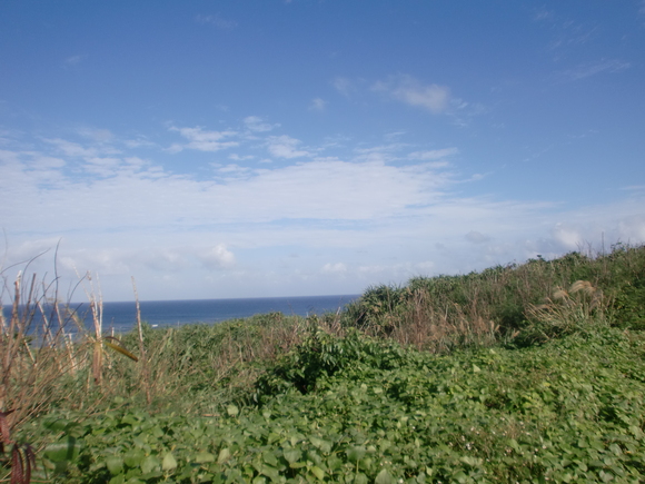 e0180575_1383017.jpg