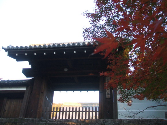 f0047576_16495439.jpg
