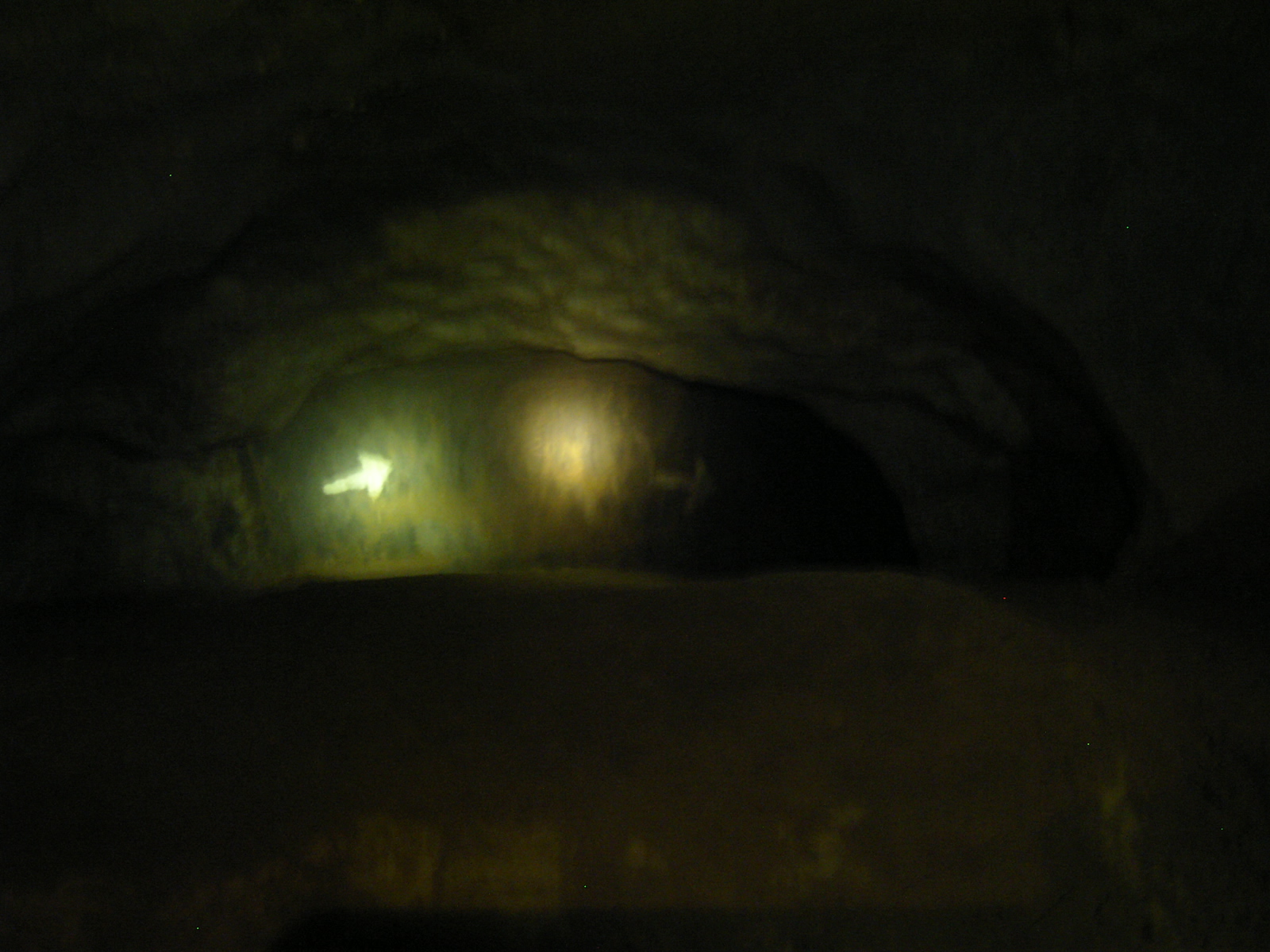 e0242479_13155256.jpg