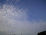d0240983_19405361.jpg