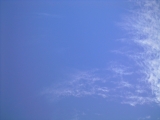 d0240983_1941465.jpg