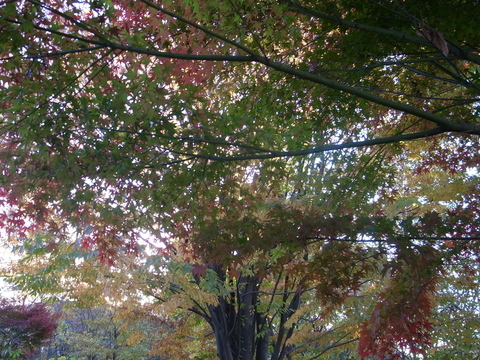 a0195486_22311045.jpg