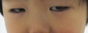 e0197292_10582838.jpg