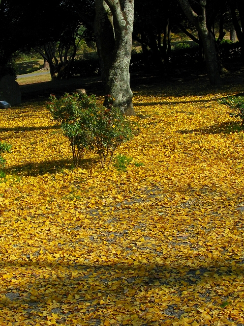 f0181394_14372929.jpg
