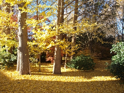 b0183497_1264825.jpg