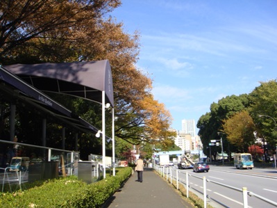 a0167803_116977.jpg