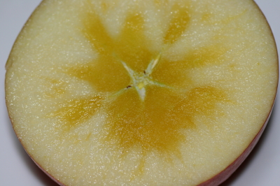 f0041606_1658272.jpg