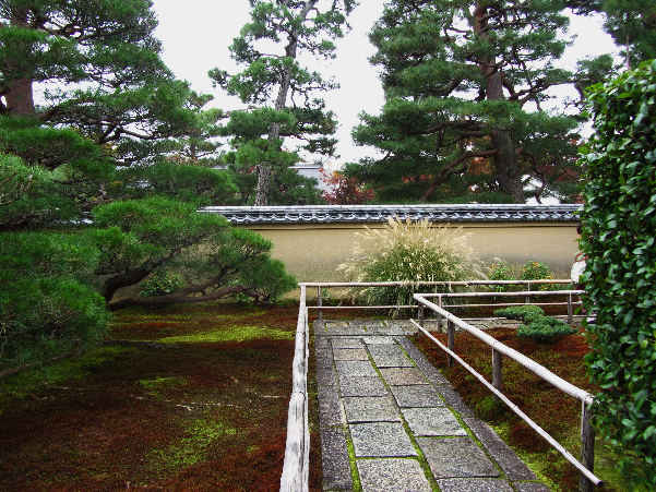 d0154609_10561681.jpg