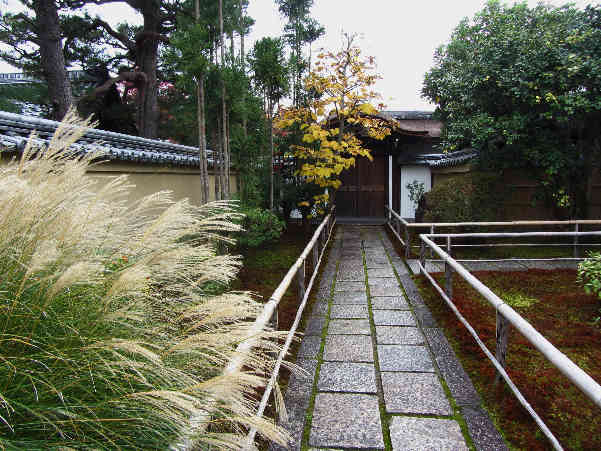 d0154609_10563698.jpg
