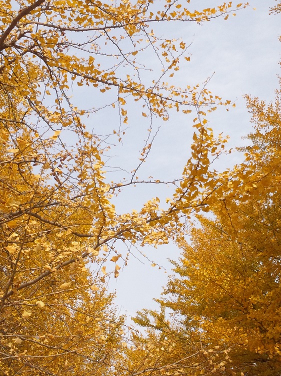 b0199924_13582117.jpg