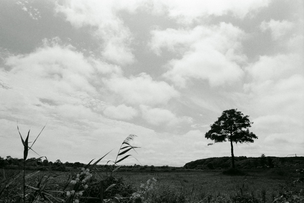 f0182924_206232.jpg