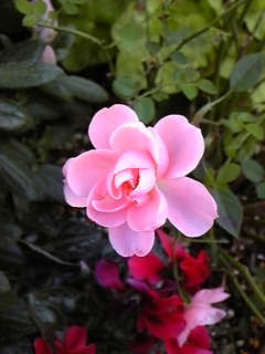 b0238426_10274946.jpg