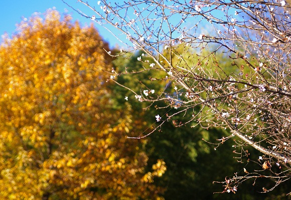 f0214527_953277.jpg