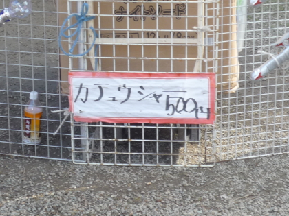 f0080631_21413335.jpg