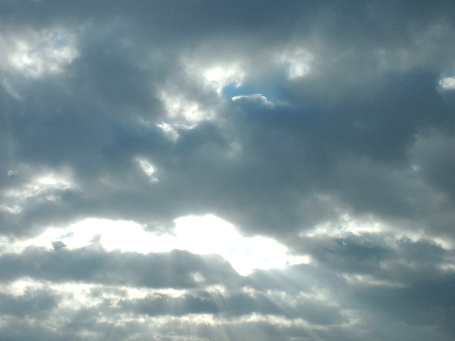 c0117239_10365416.jpg