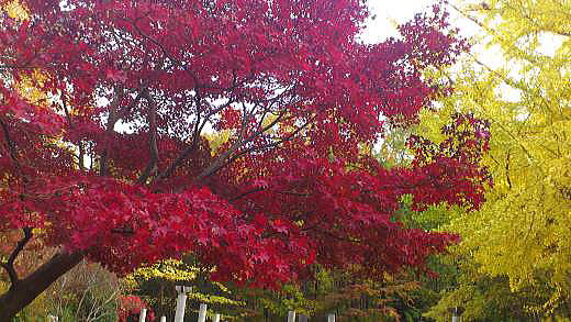 f0094843_18274048.jpg