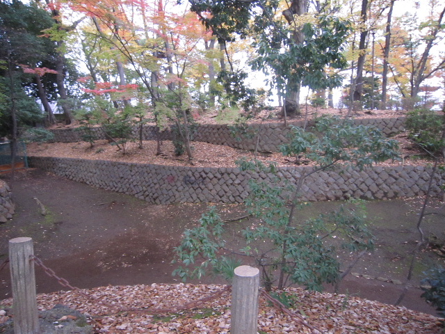 d0063149_1822253.jpg