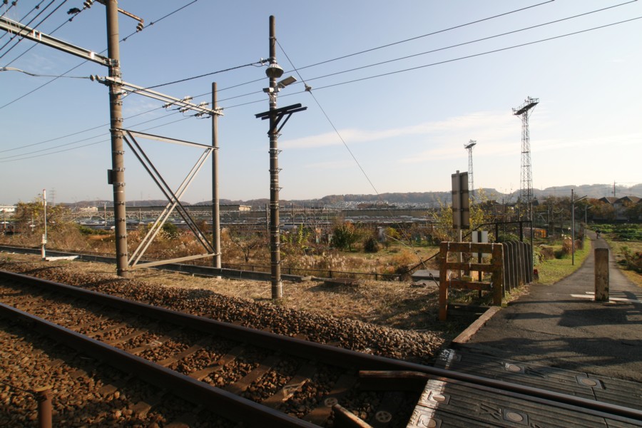 d0173255_085711.jpg