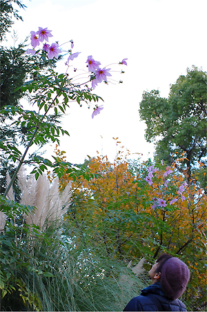 d0218058_21573684.jpg