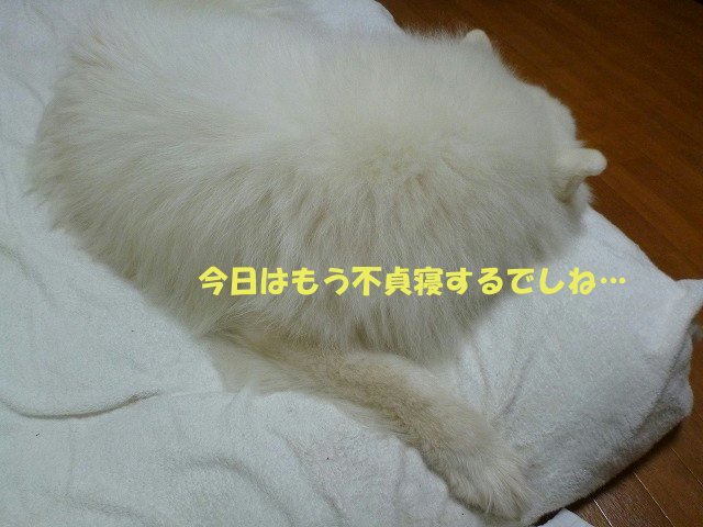 e0176159_18202617.jpg