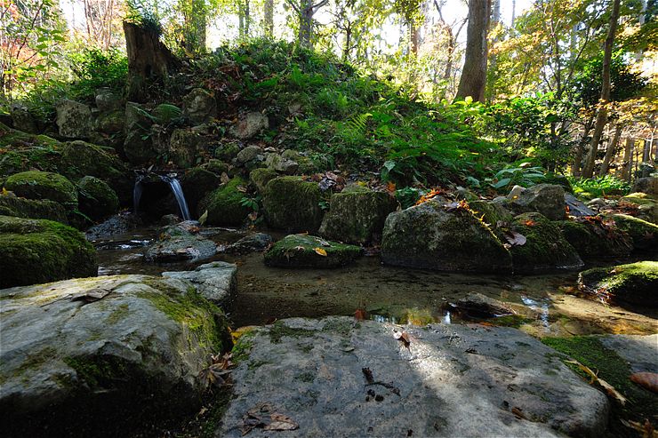 f0222161_13404996.jpg