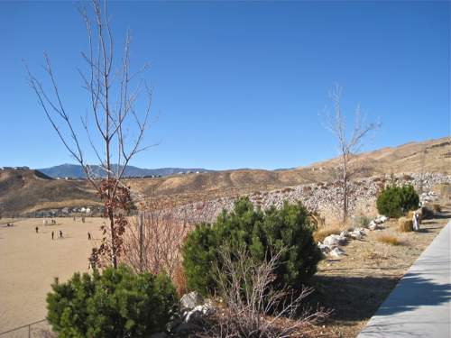 f0238562_3161960.jpg