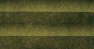 b0242064_6174820.jpg