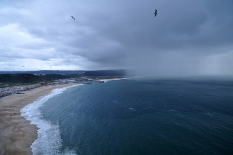a0212365_2363763.jpg