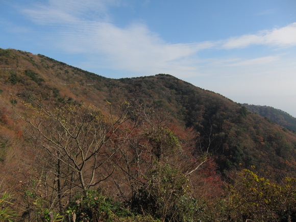 b0228966_1719892.jpg