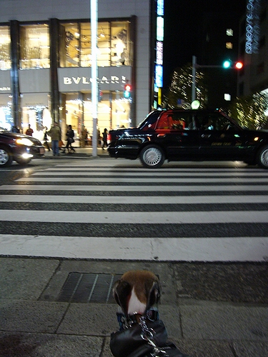 b0069169_003821.jpg