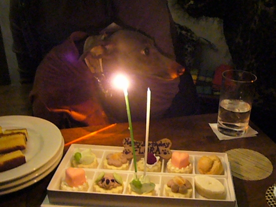 b0069169_012212.jpg