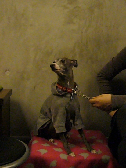 b0069169_0131115.jpg