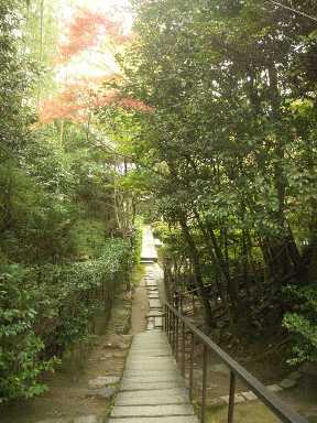 a0165872_1773914.jpg