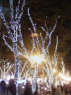 f0112873_052775.jpg