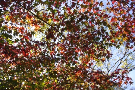 f0215475_23412593.jpg