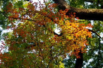 f0054677_8243093.jpg