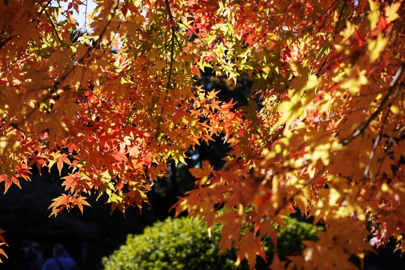 a0127090_14375560.jpg