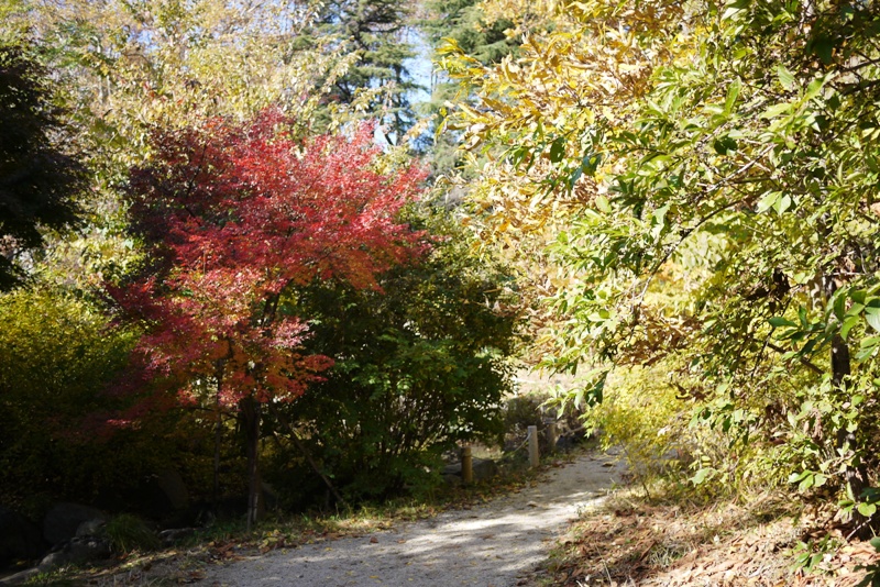a0127090_14472946.jpg
