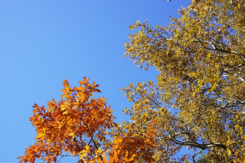 a0127090_14501293.jpg