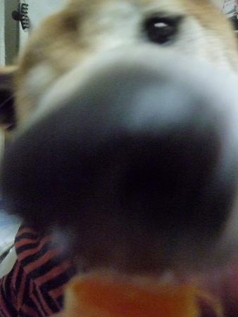 c0123890_2155514.jpg