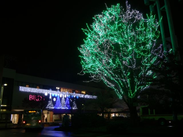 f0130894_2318866.jpg