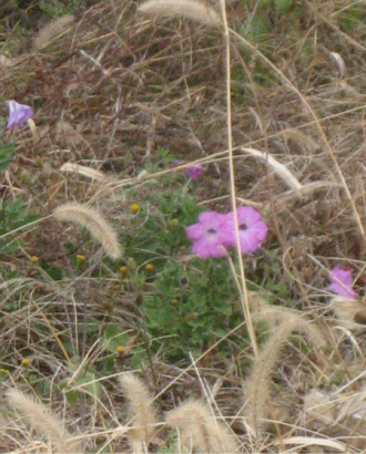 d0157596_23515588.jpg